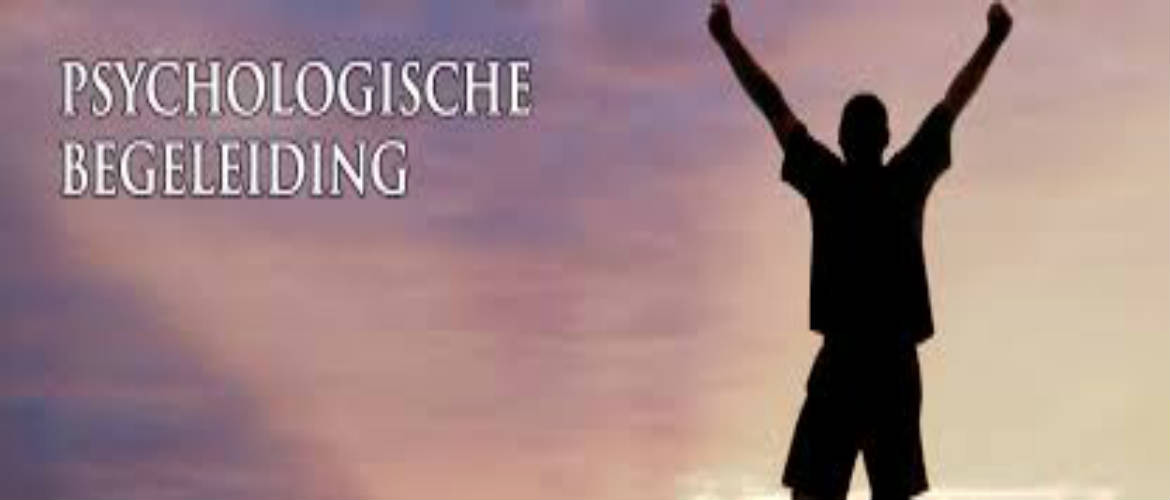 Vermeeren Psychologie Rosmalen werkwijze